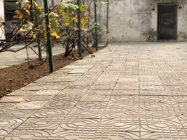 是不是每個人都有一個造園夢? 是不是每個人都有一個造園夢?