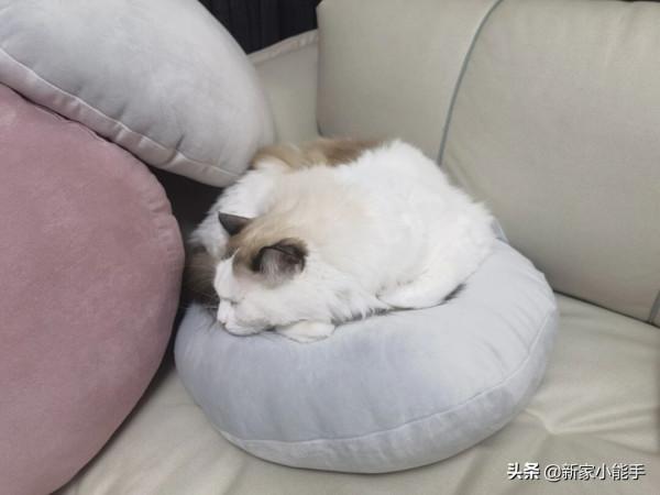 入住幾天的新房，太溫馨太舒適了，簡單裝修非常滿意，分享一下