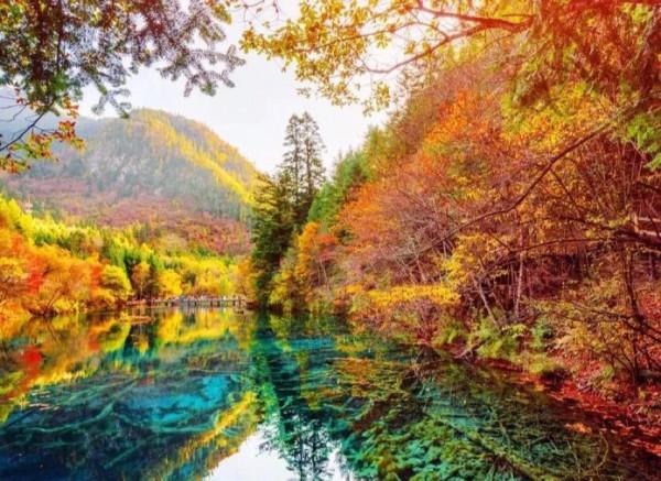 全國最美秋色即將陸續上線,你準備好去哪兒獵豔了嗎? 全國最美秋色即將陸續上線,你準備好去哪兒獵豔了嗎?