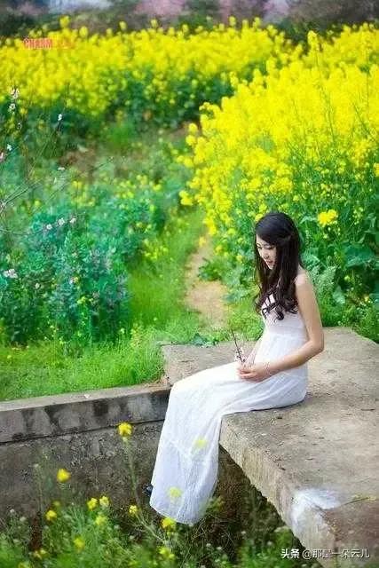 ﹤我喜歡看油菜花&gt&semi;