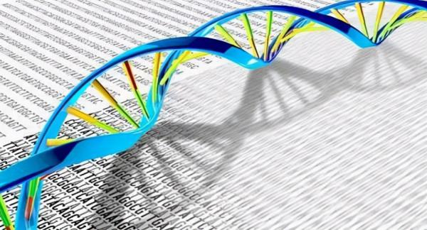 衰老有可能逆轉嗎？