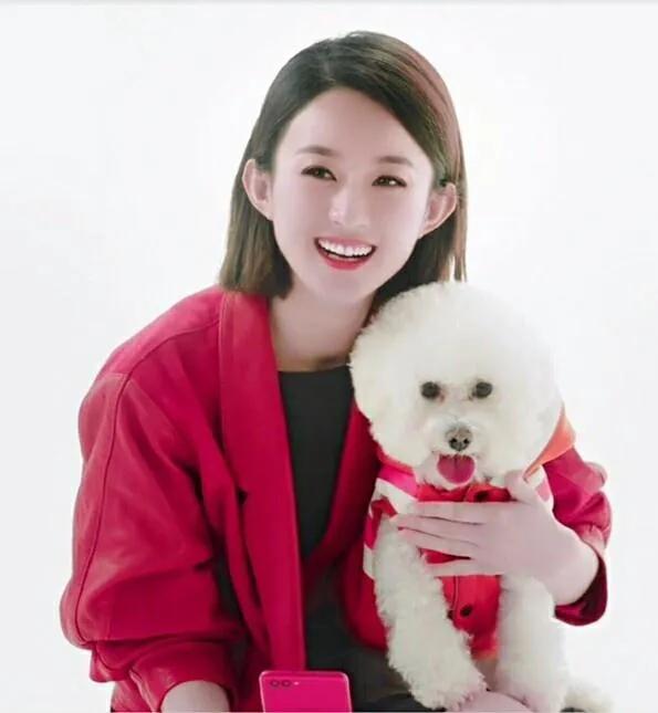 趙麗穎像爬山虎一樣的女人，柔軟而堅韌，從不起眼到滿枝開花