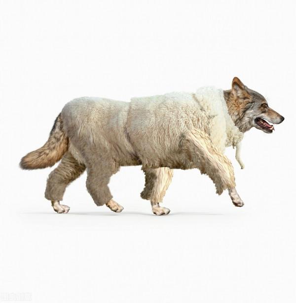 索要分手費竟索成涉嫌敲詐勒索,九年青春到底值不值得? 索要分手費竟索成涉嫌敲詐勒索,九年青春到底值不值得?