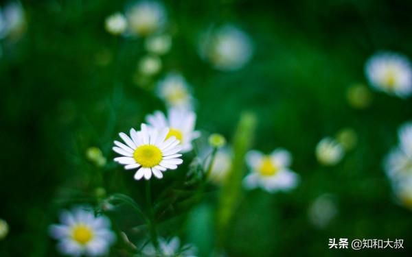 這四種“熟人”,不會對你好,最喜歡見不得你好 這四種“熟人”,不會對你好,最喜歡見不得你好