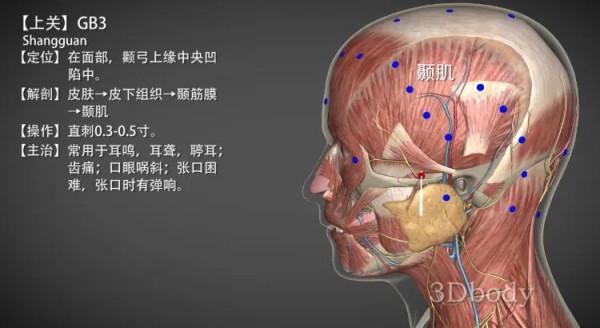 上關穴&mdash;（常按預防視力減退）