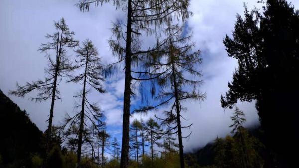 川西畢棚溝之旅,休想讓我交一毛錢的智商稅 川西畢棚溝之旅,休想讓我交一毛錢的智商稅