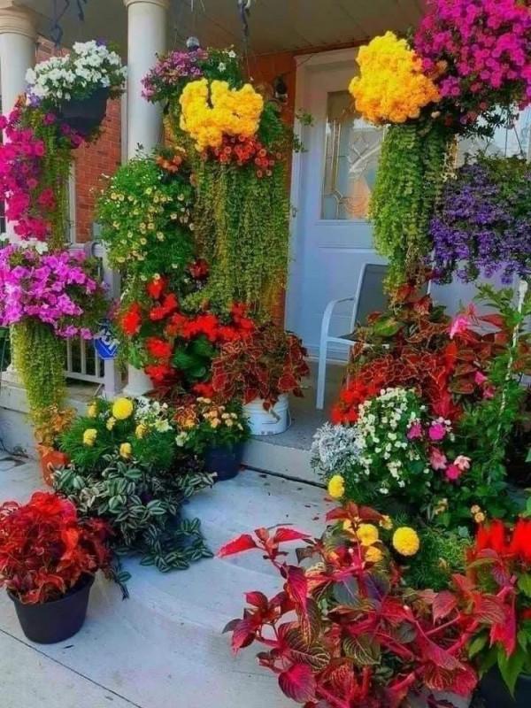 養花人的花花世界