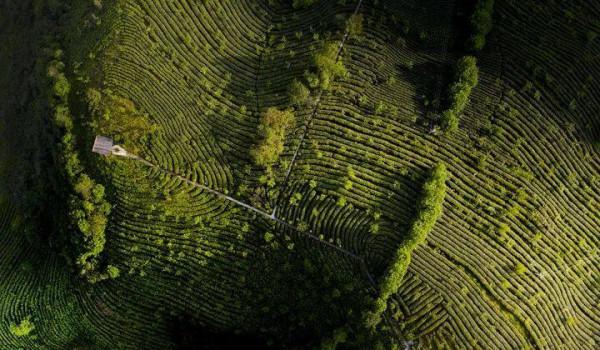 今日冬至:漫漫冬夜,烹雪煎茶,不枉人間百年 今日冬至:漫漫冬夜,烹雪煎茶,不枉人間百年