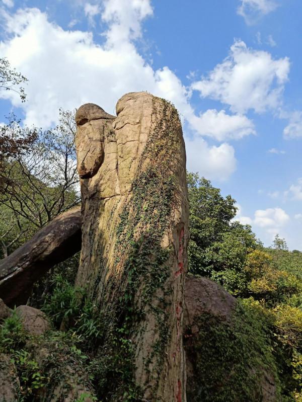 帶寶寶爬天平山