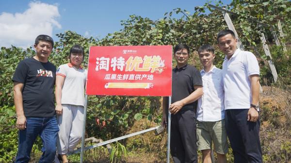 阿里Q2財報:服務縣域消費,淘特高速增長年度活躍消費者超2.4億 阿里Q2財報:服務縣域消費,淘特高速增長年度活躍消費者超2.4億