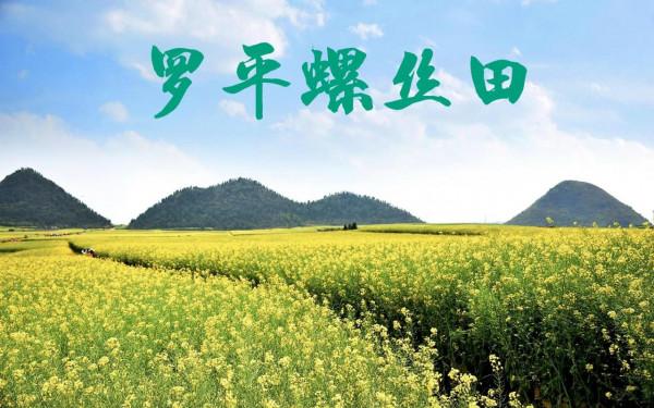 雲南十大旅遊景點，你去過幾個？