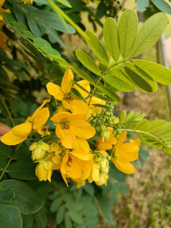 「雙11」半下午,一家人,一份餌,三條魚,盡享親子垂釣之樂… 「雙11」半下午,一家人,一份餌,三條魚,盡享親子垂釣之樂…