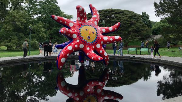 無需自駕火車可達！紐約州秋景全盤點，兒童車票半價