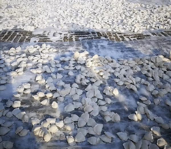 東北最受歡迎的5種“凍貨”，南方人理解不了，真的能吃麼？