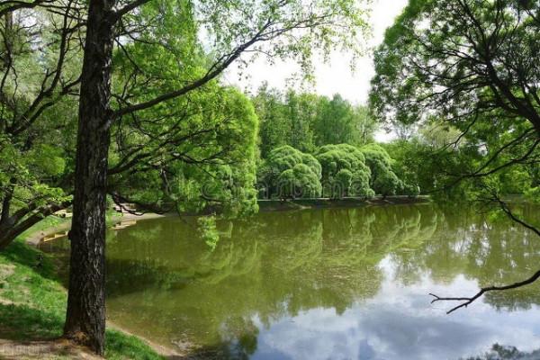 美景的初戀 美景的初戀