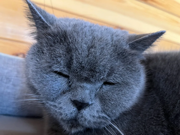 睡不醒的，冬三月