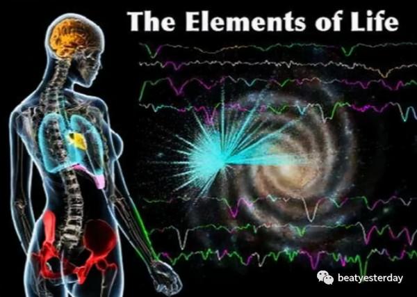 關於慢跑的不完全手冊之二：運動對你的大腦做了什麼