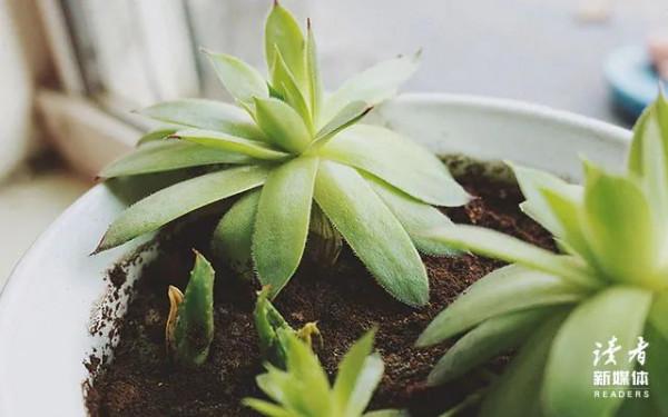 江蘇高校女教師遇害事件後續：你富養的寶貝女兒，為什麼嫁得不好