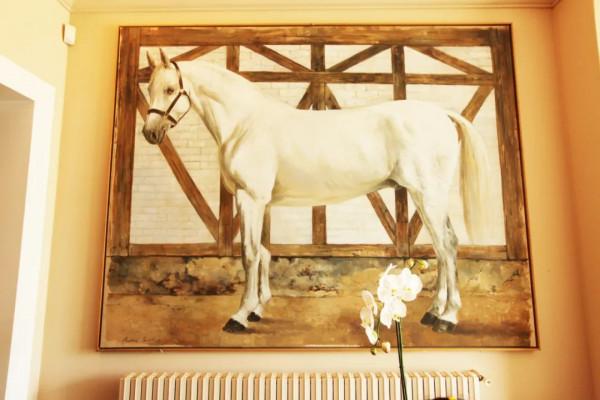 10年深度+豪華遊玩60國