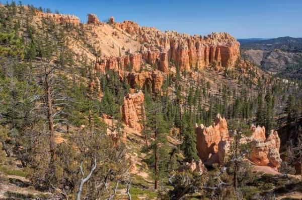 年輕人應該知道的人情世故