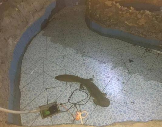 遊玩兒趣樂 銀狐洞