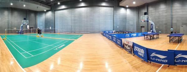 我的乒乓自學之路