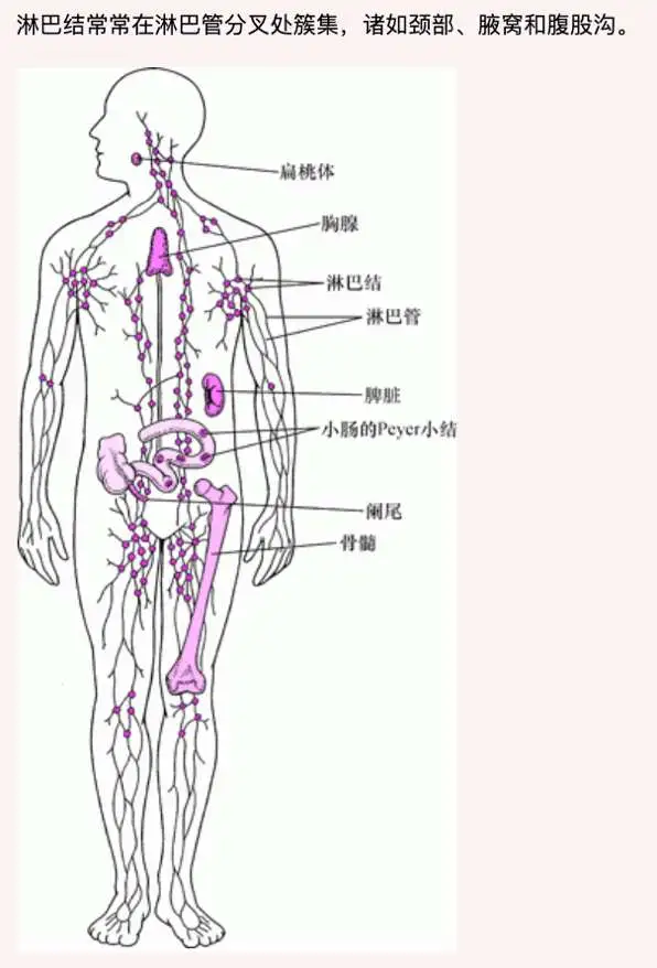 這10種跡象,提示孩子可能天生免疫力不好 這10種跡象,提示孩子可能天生免疫力不好