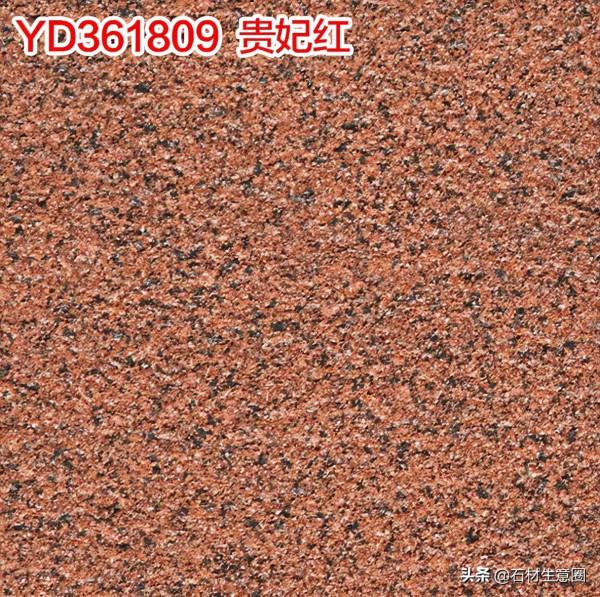 生態地鋪石欣賞