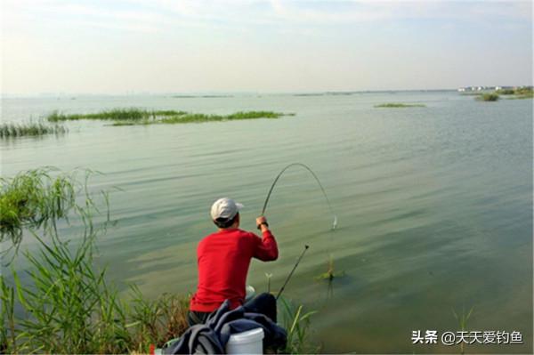 秋季可以釣淵也可以釣邊，但是釣邊難度更大，套路得當方能爆護