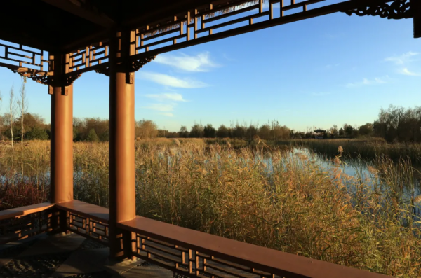 秋染副中心① | 漫步賞秋，張家灣公園內，秋色也能勝春朝！