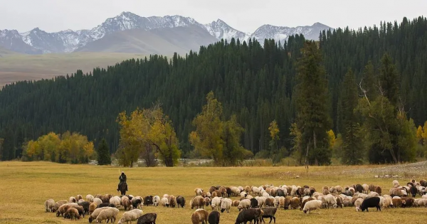 新疆，匯聚了中國大半個秋色