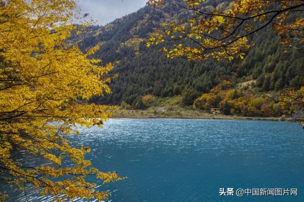 四川九寨溝進入最佳觀賞季