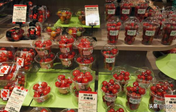 基因編輯番茄真來了，去日本旅遊的小夥伴一定要仔細看