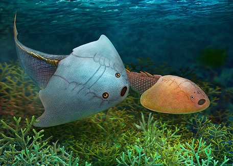 藝術與科學的碰撞,帶你走近古生物復原圖的世界——復原圖畫師楊定華專訪 藝術與科學的碰撞,帶你走近古生物復原圖的世界——復原圖畫師楊定華專訪