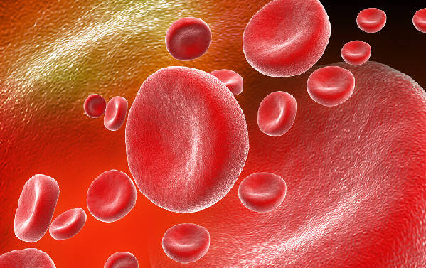 血常規的結果應該怎麼看？主要看3個指標，手把手教你看懂血常規