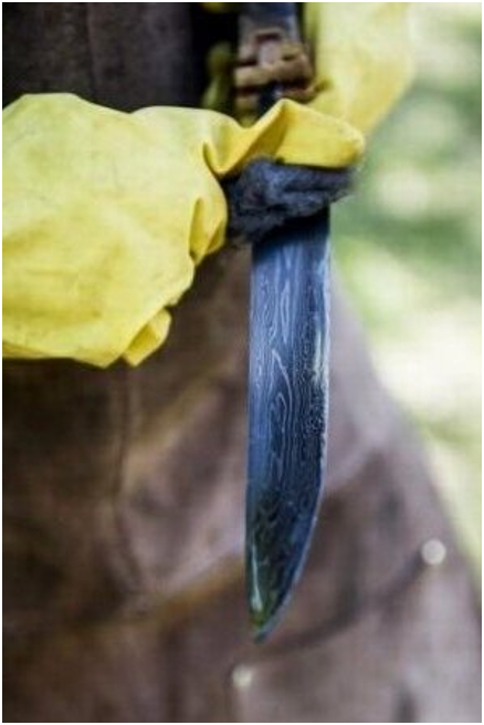 她的作品有點萌——記12歲的澳大利亞女刀匠萊拉·哈達德 她的作品有點萌——記12歲的澳大利亞女刀匠萊拉·哈達德