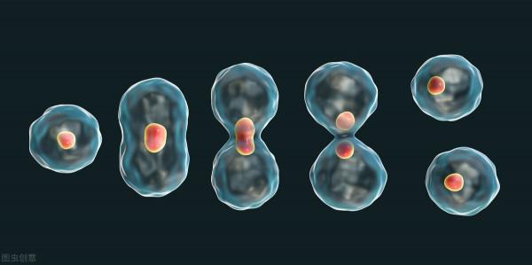 日本還有六大領先的技術 日本還有六大領先的技術
