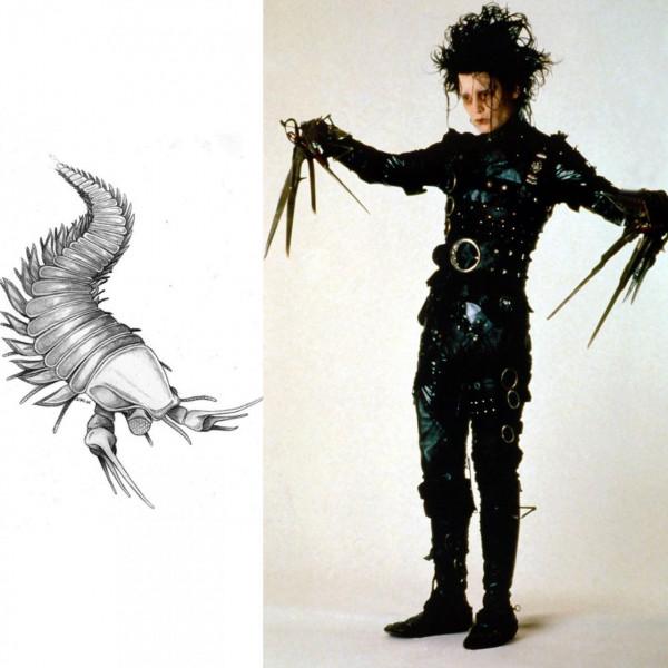 搞笑動物名字!真的有一條叫素貞的蛇,還有一隻叫川普的飛蛾 搞笑動物名字!真的有一條叫素貞的蛇,還有一隻叫川普的飛蛾