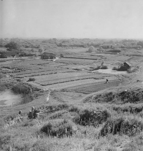 鬼子追捕抗聯戰士，卻不慎闖進熊瞎子窩，被啃死一半的人