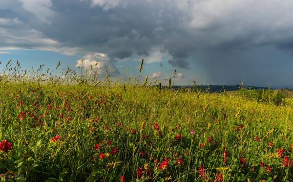 一個人最高階的自律:少管閒事 一個人最高階的自律:少管閒事