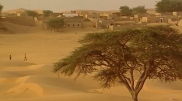 沙漠有救了!胡八一真人版穿越死亡沙海,找到沙漠終極與治沙魔方 沙漠有救了!胡八一真人版穿越死亡沙海,找到沙漠終極與治沙魔方