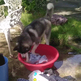 胃不好的人,儘量別吃這種藥!這4類藥才能保護你的胃 胃不好的人,儘量別吃這種藥!這4類藥才能保護你的胃