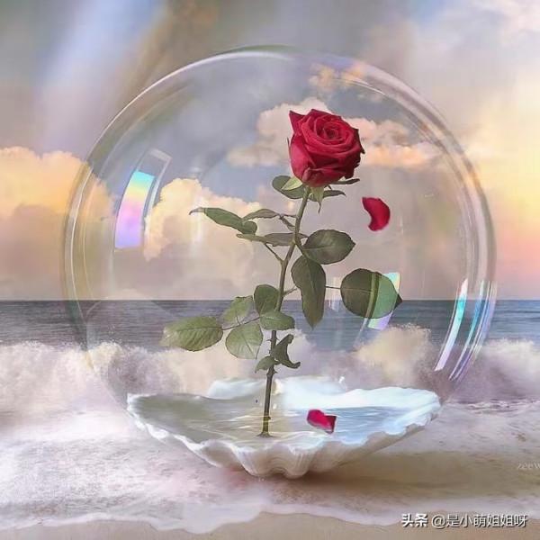 高情商的寶藏女孩，優秀上進太上頭了