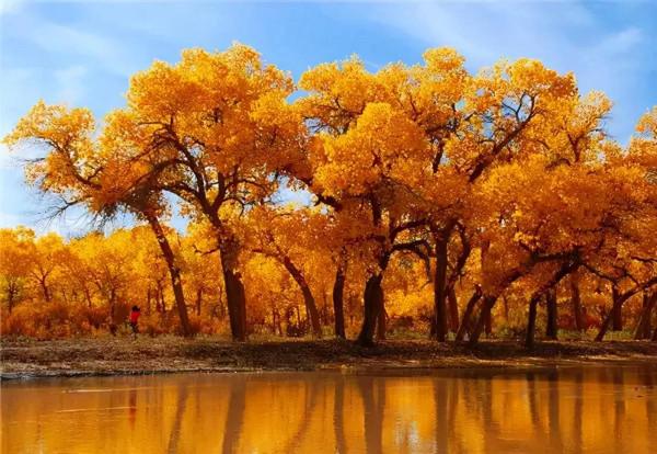 醉美中國，在秋天