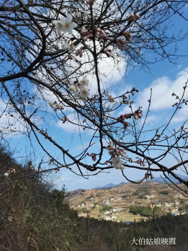 這是我長大的地方，一個座落在山頂上的小山村
