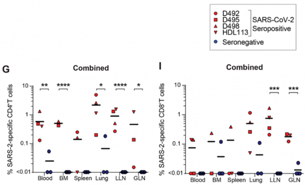 《科學》子刊:首次在人體找到對新冠有長期免疫記憶的證據!科學家在新冠患者的肺及周圍的淋巴結中發現新冠特異性生髮中心丨科學大發現 《科學》子刊:首次在人體找到對新冠有長期免疫記憶的證據!科學家在新冠患者的肺及周圍的淋巴結中發現新冠特異性生髮中心丨科學大發現