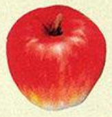 街機《戰斧》幕後那些你不知道的事，喜歡偷女戰士私人物品的小偷