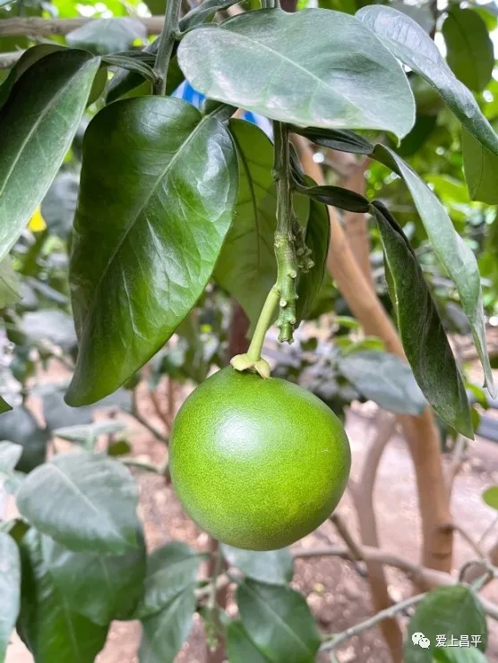 打卡新去處！京北這個超大的農業科普館，豐富有趣活動來襲~