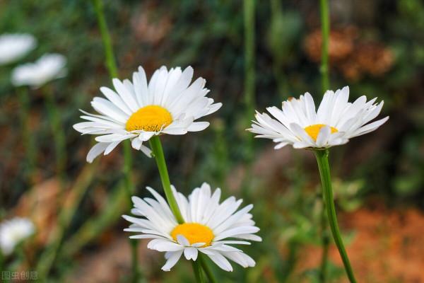 退休之後，把控好自己的情緒，也就過好了餘生