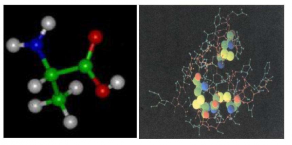 人死後，散發出的&OpenCurlyDoubleQuote;屍臭&rdquo;到底有多臭，該如何克服？